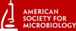 American Society for Microbiology