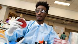 MLS student examines petri dish